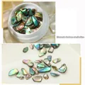 Détail macro d'éclats de nacre d'abalone naturelle au lustre baroque irisé pour nail art - 10# Coquille d'Abalone Colorée