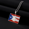 Détail du collier drapeau de Porto Rico avec pendentif grenouille Coqui en émail poli - Collier Argent B (Grenouille rectangulaire)
