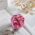 Preserved pink carnation flower inside a clear 7cm crystal ball orb decoration - Red Carnation Ball 7cm (Kraft Box)