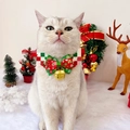 Collier de Noël pour chat avec nœud rouge vert et clochette dorée sur chat blanc - Collier Rouge Noeud Papillon de Noël