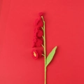 Handmade knitted lily of the valley flower in red cotton yarn for home decoration - Finished Product - Four-headed Lily Of The Valley Stem - Red