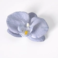 Testa di orchidea artificiale blu e viola per accessori fai-da-te su sfondo bianco puro - Seta Grigio (Piccolo)