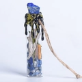 Lapis lazuli wishing bottle with raw gemstone wax seal and natural herbs inside - Lapis Lazuli