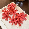 Detalle de pendientes de flores de tela roja con borlas largas y tachuelas de circón - Estilo de Botón / Poste de pendiente de plata - Rojo