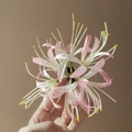 Eleganter Haarclip mit rosa Farbverlauf Spinnenlilie und filigranen Blütenblättern - Rosa Spinnenlilie Entenschnabelclip / Rosa