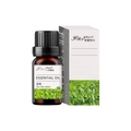 Water soluble tea tree essential oil 10ml with brown glass bottle and green leaf box - Tea Tree