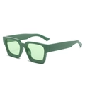 Occhiali da sole retrò con montatura spessa verde scuro e lenti verdi chiare moda - Regolare / Montatura Verde Erba Lenti Verdi