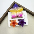 Three-piece set of purple and orange floral hair claws on a display card for women - Rainbow-patterned Five-petaled Flower + Frangipani Flower Set #5 (includes Card)
