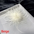Macro shot of fluffy beige ostrich feather brooch showing rich texture and soft fibers - Off-white