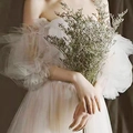Elegant bridal dress with puffy tulle sleeves in light pink color holding dried flowers - ST188 Mesh Sleeves