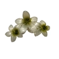 Three-flower plumeria hair claw clip in translucent green and cream resin finish - Pearly Triple Plumeria Claw [Green]