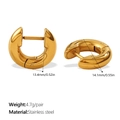 Classic gold-plated stainless steel hoop earrings with 14.1mm outer diameter size - EH1189G Style (EH1189G)