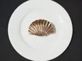 Elegant gold shell claw clip with 3D radial ridges on a white ceramic plate - Small / Gold