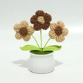 Detail of handmade crochet potted puff flowers in white ceramic pot for home decor - Puff Flower Coffee