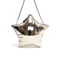Silver star-shaped acrylic handbag with metallic finish and crossbody chain strap - Silver