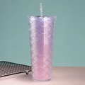 Pink mermaid scale glitter tumblers with straw double-layer plastic water bottle - 24oz / Dreamy Purple