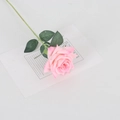 Lifelike artificial pink velvet rose with green leaves on a minimalist white background - Velvet Small Corner Rose Light Pink
