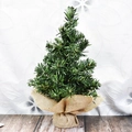 Mini künstlicher grüner Weihnachtsbaum mit Jute-Basis für festliche Tischdekoration - 30cm