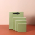 Olive green PE film jewelry display box set with matching paper gift bag and boxes - Paper Sleeve (7*7*2) / Green