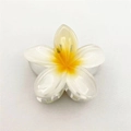4cm White Background With Yellow Standard