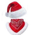 Christmas pet set featuring a red cowboy hat with sequins and a snowflake print bandana - Set 6 (Pet Christmas Accessory Set)