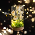 Close-up of five crochet white flowers in a glass dome with warm LED lighting and wooden base - White