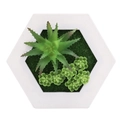 Hexagonal white frame with realistic green artificial succulents and moss greenery - Style 6E