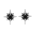Orecchini a stella in argento con strass nero per uomo in stile hip-hop punk - Confezione da 1 paio / Argento Con Zirconia Nera