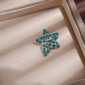 Macro di una spilla a stella d'argento con strass verdi in una scatola regalo di lusso - Argento / Verde
