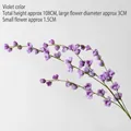 Violet Purple