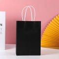 Minimalist black paper gift bag with white rope handles on a stylish pink background - Small (15x8x21cm) / Black
