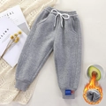 Gray children's fleece jogger pants with elastic waist and thermal lining detail - Gray / 80
