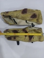 Pies de monstruo de látex verde con garras y detalle de medida de 31 cm - Cubrepiés / Cubrepiés de zombi (Verde)
