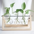 Hydroponic wood stand with three glass test tube vases on a minimalist white background - Natural Wood Stand + 3 Bottles