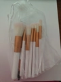 Sky blue makeup brush set with white handles and pink bristles in a mesh pouch - 12 Brushes + Velvet Pouch / Pink