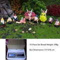 10-piece miniature fairy garden set featuring colorful resin gnomes and flower fairies - 10Pcs Flower Fairy and Gnomes Set