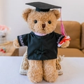 Graduation Gown Style (Pink Collar Tassel) 30 cm