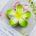 8cm Solid Color Spray Gradient Green Standard