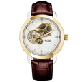 Mechanical men's watch with golden case, white skeleton dial and brown leather strap - Two-tone Gold White Dial (Brown Leather Strap)