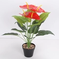Artificial red anthurium plant in black pot with vibrant heart-shaped flowers - 18-Head Large Anthurium (Without Pot)