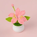 Nahaufnahme einer handgehäkelten Lilie im weißen Topf mit rosa Blüten und Blättern - Pfirsich