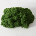 Deep Green Moss Silk 500g