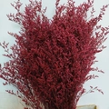 Preserved dried Statice flower bouquet in deep red for DIY floral arrangements - Red (500g)