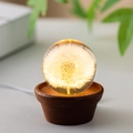 6cm Dandelion Sphere with Flowerpot Base USB Plug-in