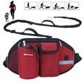Detail of red canvas dog walking fanny pack with water bottle holder and leash - Metal Logo Upgrade Single Bag / Red
