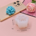 Detail view of succulent silicone mold with finished resin craft and size measurements - Succulent Shape (4)