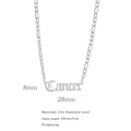 Silver Cancer zodiac sign necklace in 316 stainless steel with 40+5cm chain details - Cancer / Steel