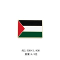 Dettaglio spilla bandiera Palestina in metallo, misura 2,5x1,8 cm e peso 4,5g - Bandiera Quadrata della Palestina