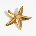 Polished golden starfish brooch with sea-inspired texture for vacation style wear - Smooth Mirror Starfish (KX002)
