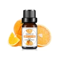 Wasserlösliches Sweet Orange Duftöl in der 10ml Braunglasflasche mit Orangenstücken - Süßorangenöl